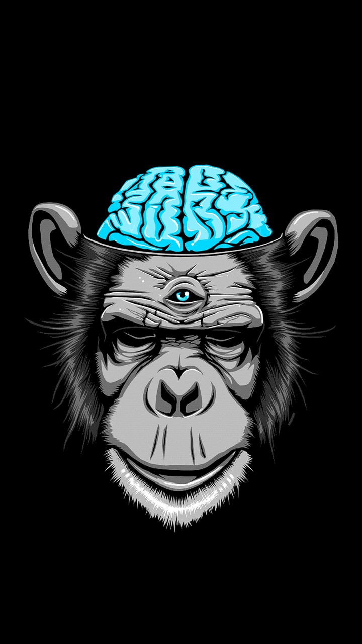 monkey eye