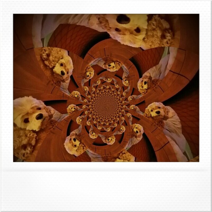 Tourbillon