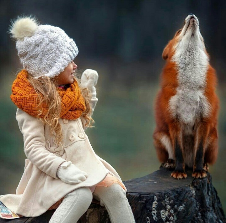 friends