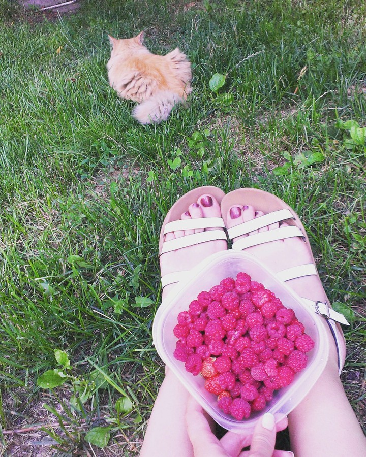 Raspberry