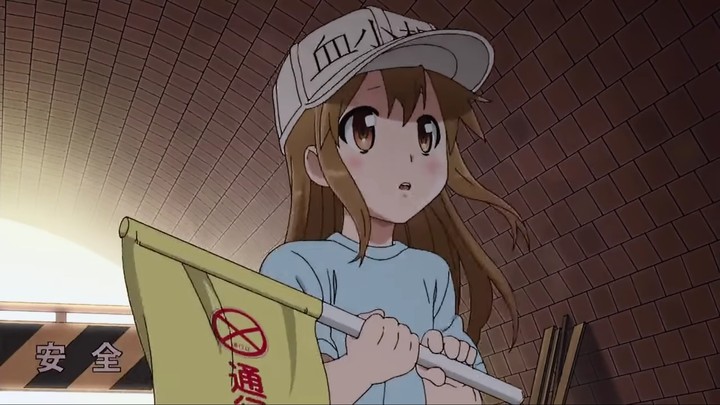 Cells at work !