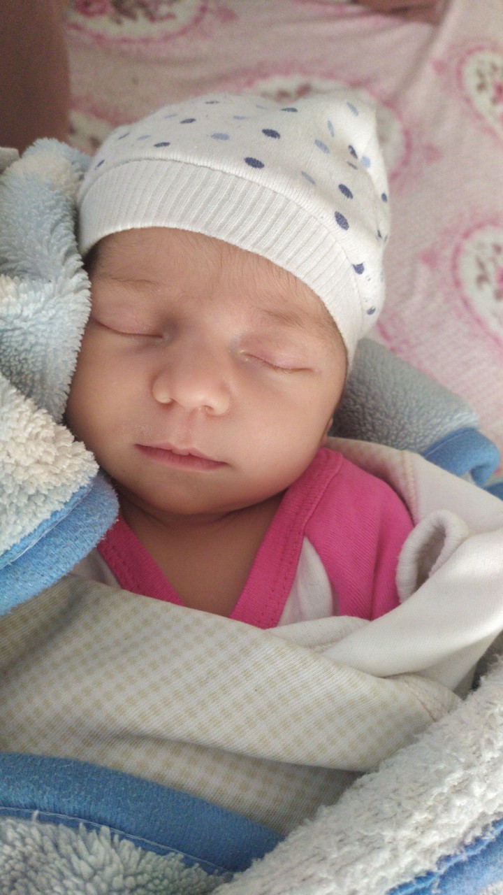 bebek