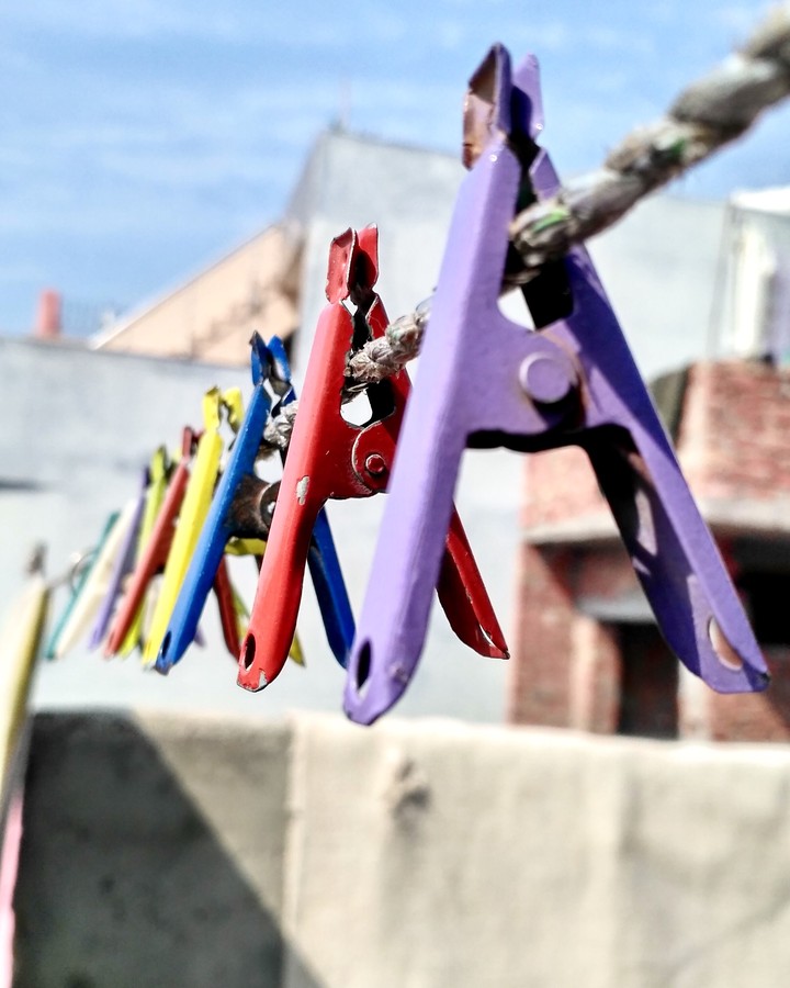 steel clips for clothes