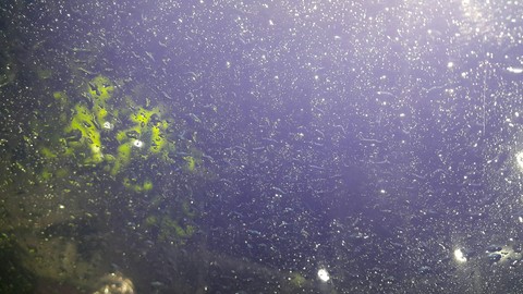 rain drops no edits original click