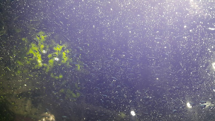 rain drops no edits original click