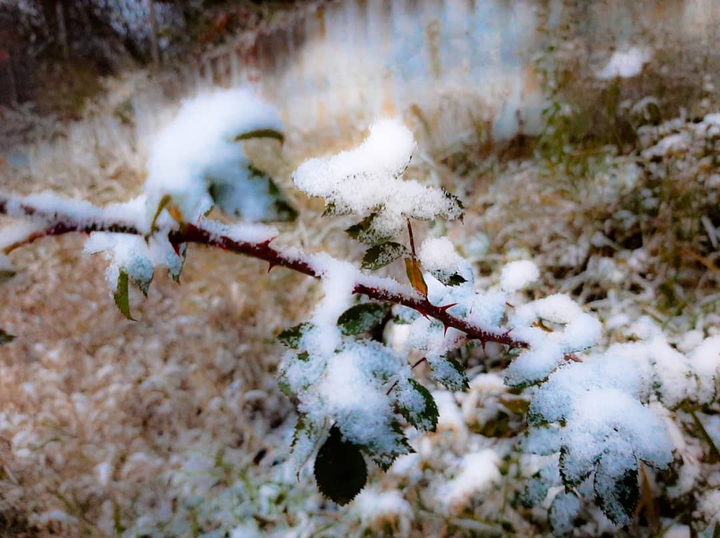 First snow