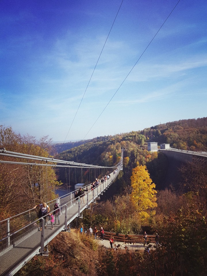 The bridge