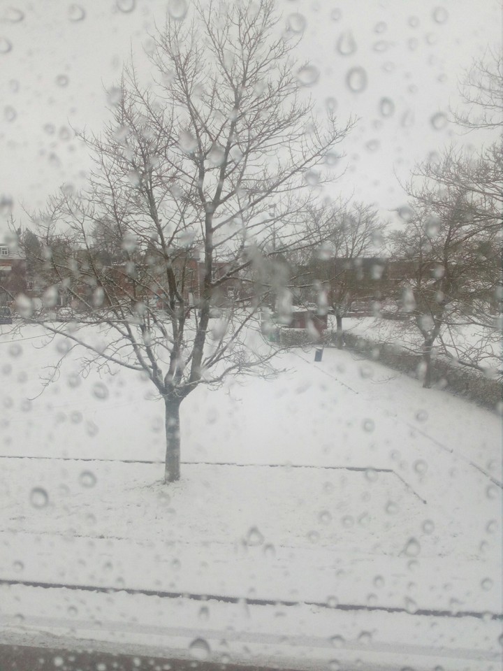 hiver