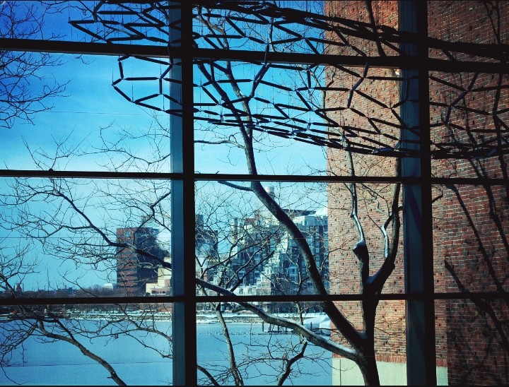 Providence and the Distored Looking Glass