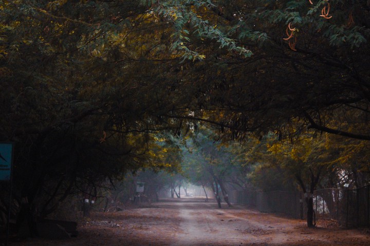 Avenue