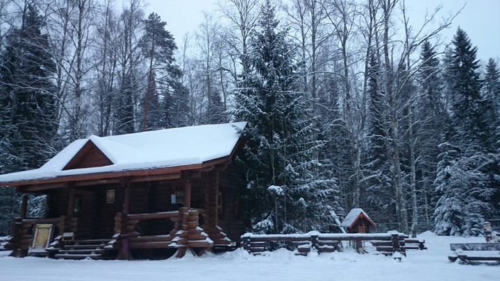Snowy kingdom