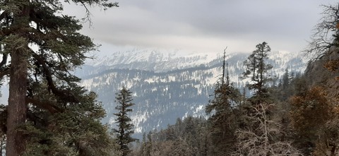 MOUNTAINS