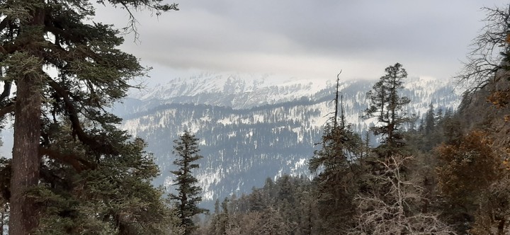 MOUNTAINS