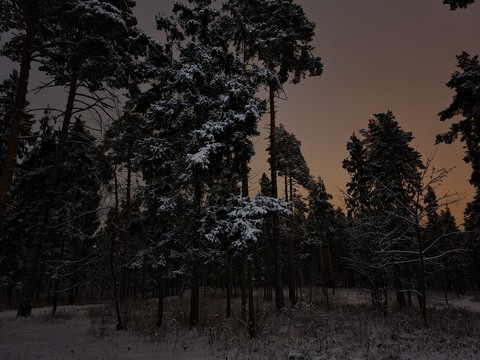 night, winter