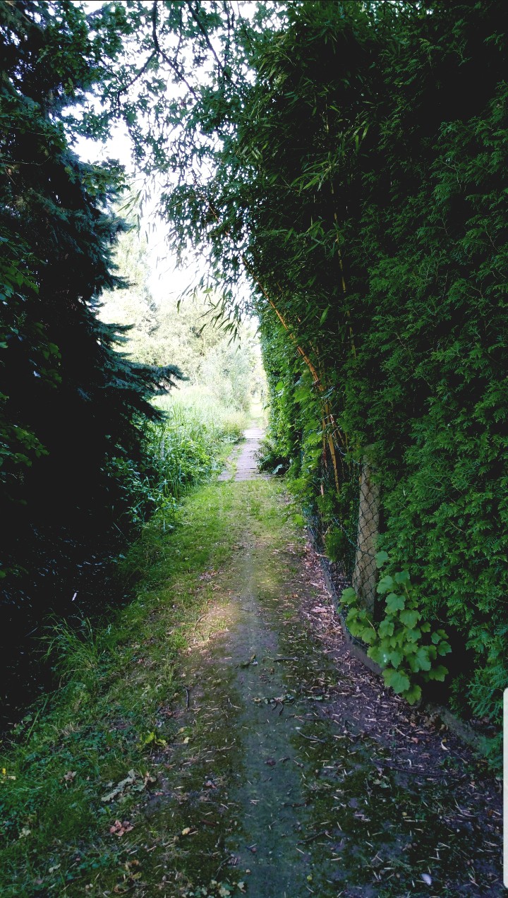 Summer