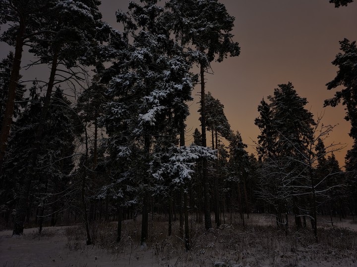 night, winter