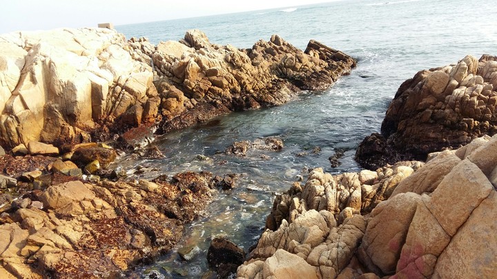 Sea
