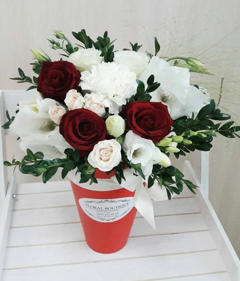 fonds d'écran floristry, plant