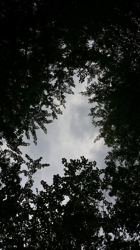 Cloud?