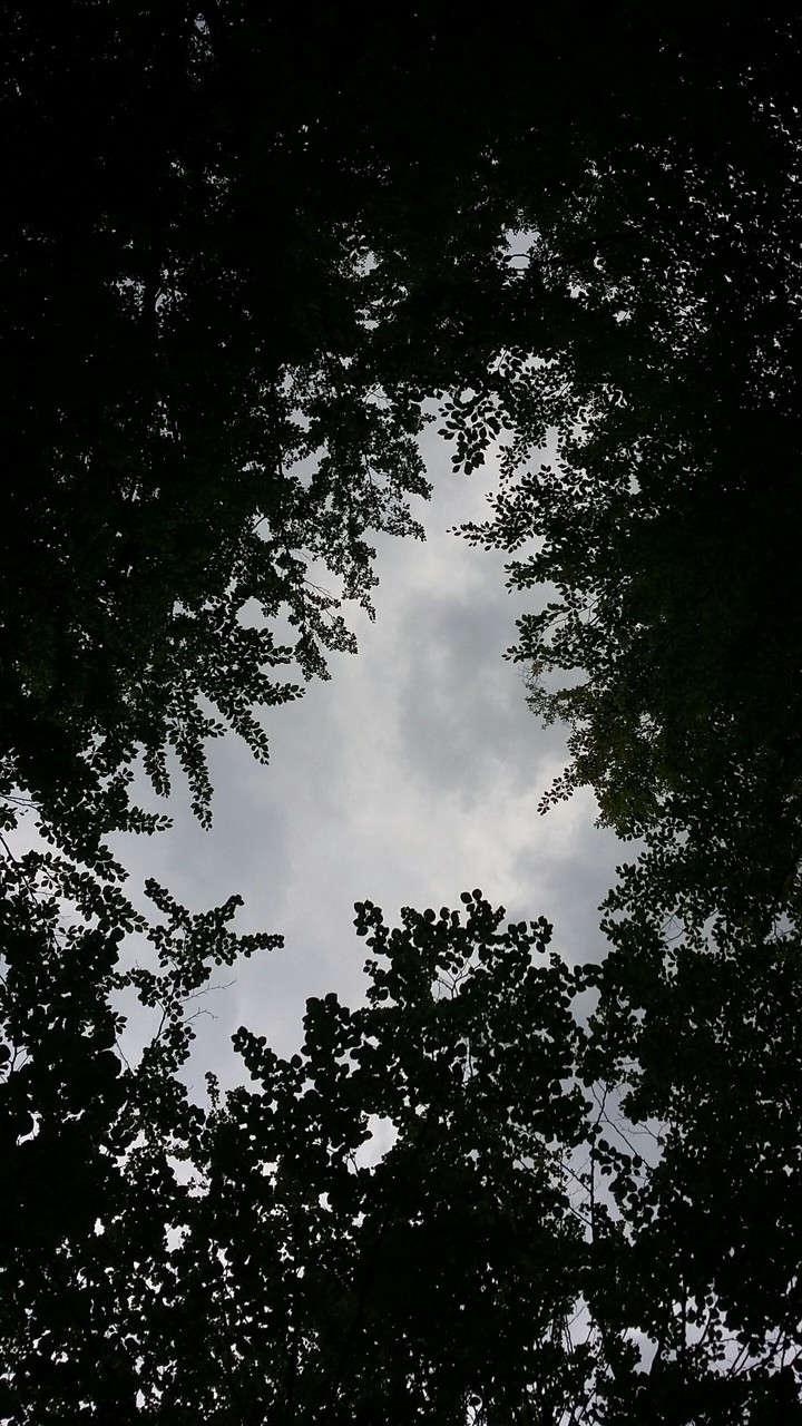 Cloud?