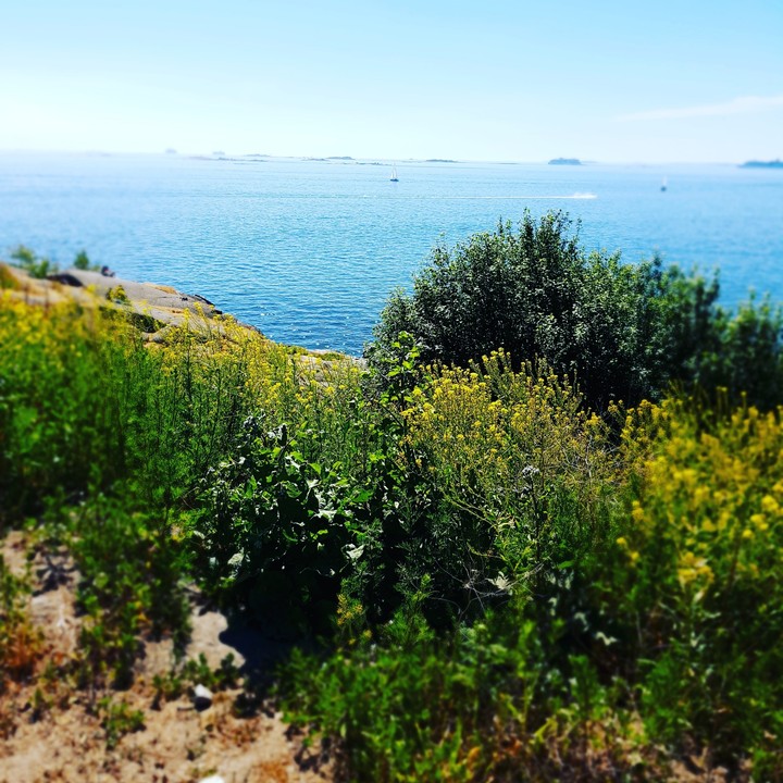 nature