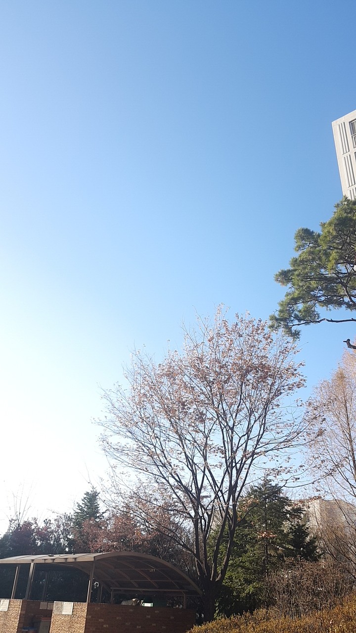 풍경