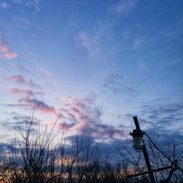 The evening