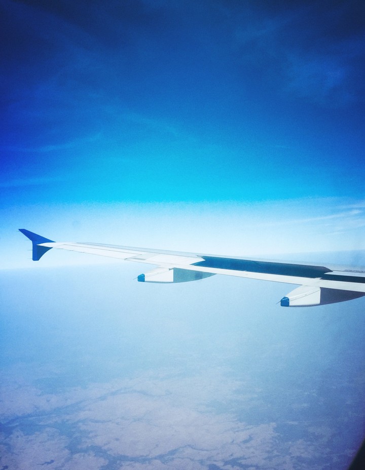 Fly High