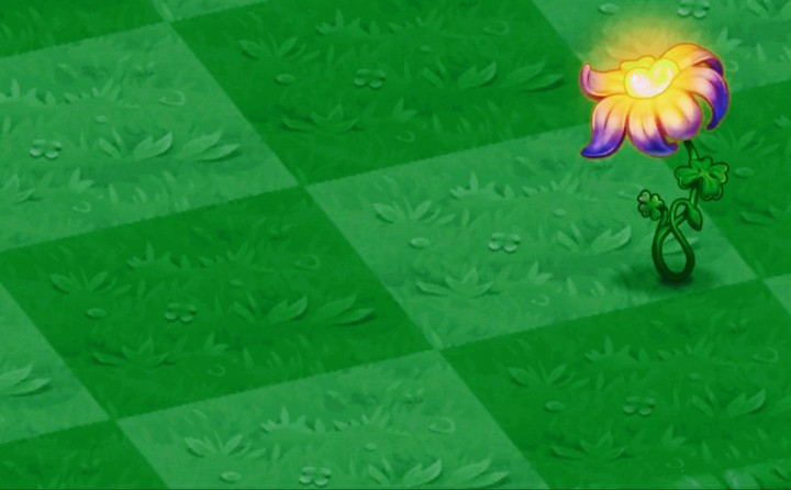Flower ?