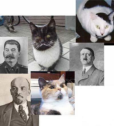 сходство найдете