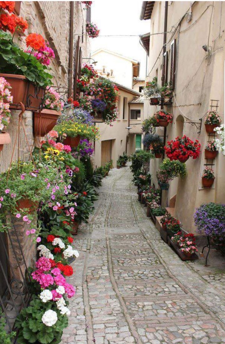 Flower power in Italy
