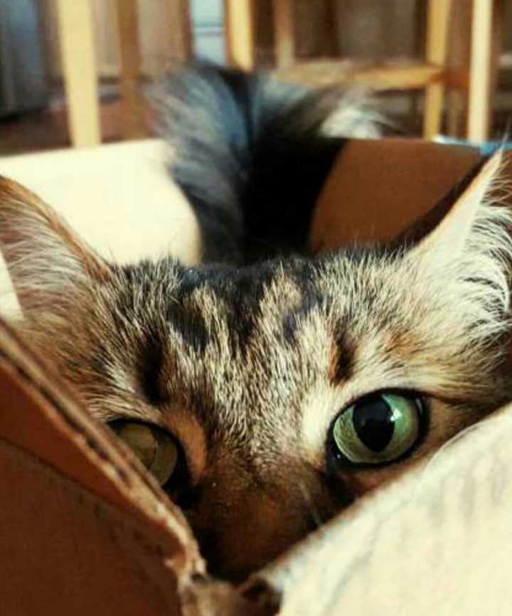 Am I cute ?
