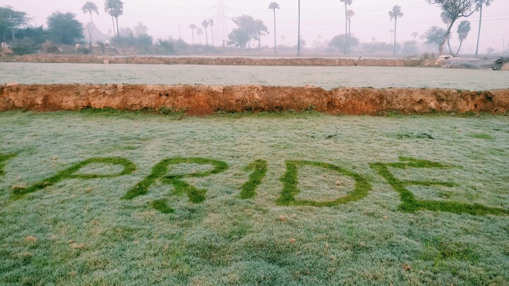 wrote on grass 