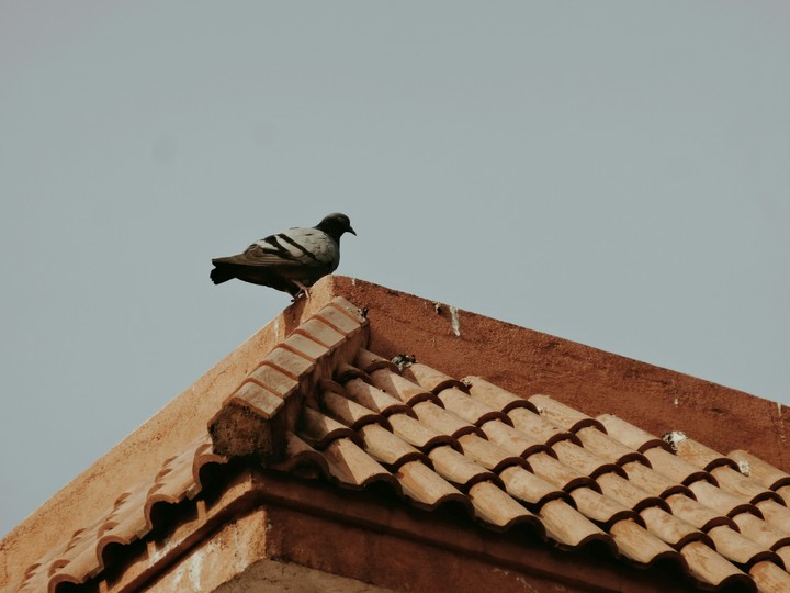 nk photography