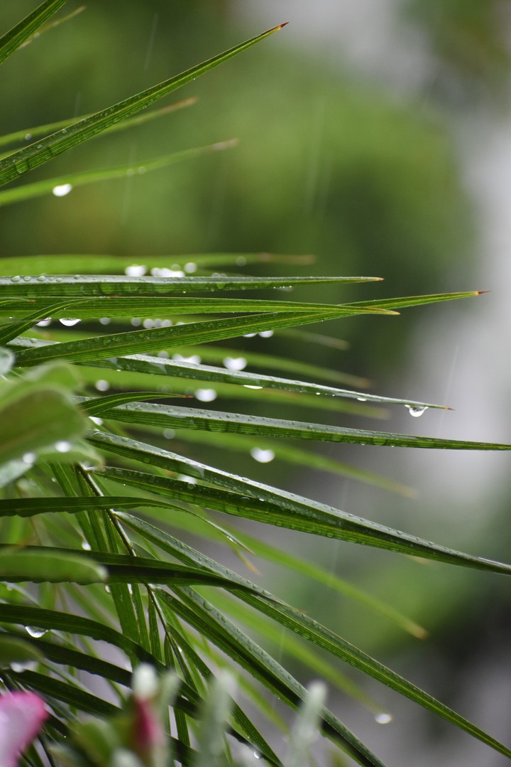Droplets
