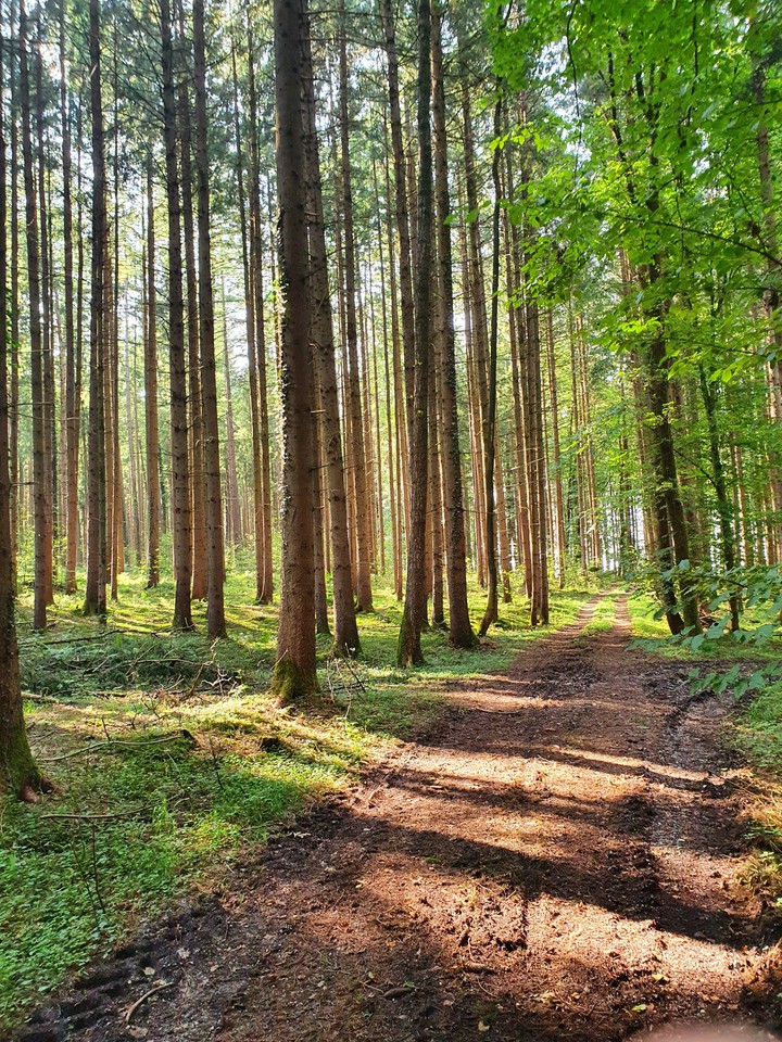 Somewhere in Bavaria