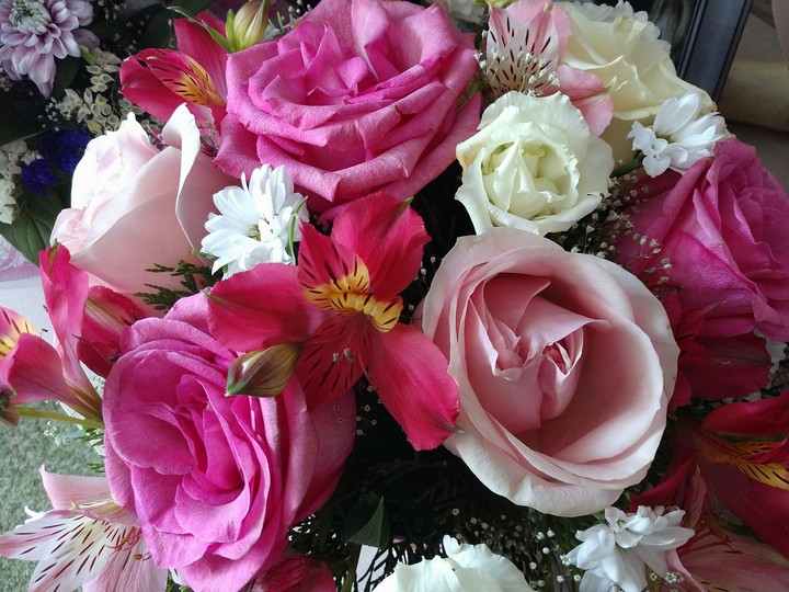 rose