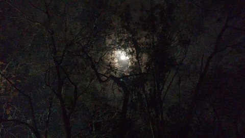 The light in darkness.