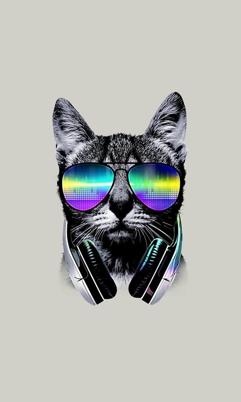 DJ Cat