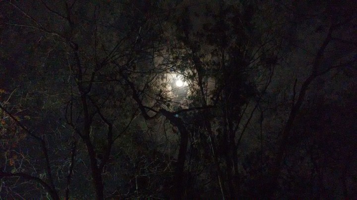The light in darkness.