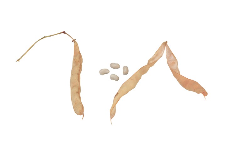 음식이미지