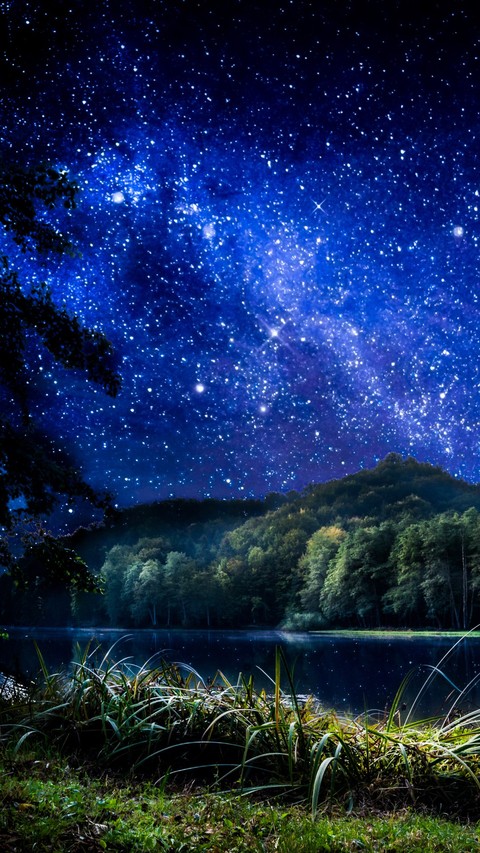 night