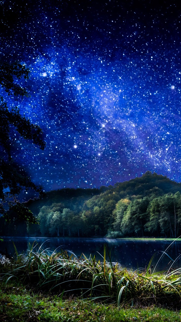 night