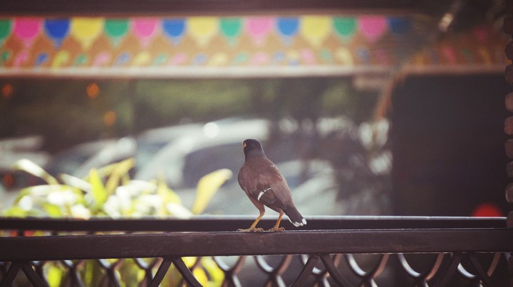 nature ia on high priority.