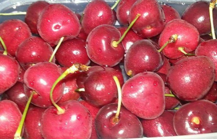 Cerejas