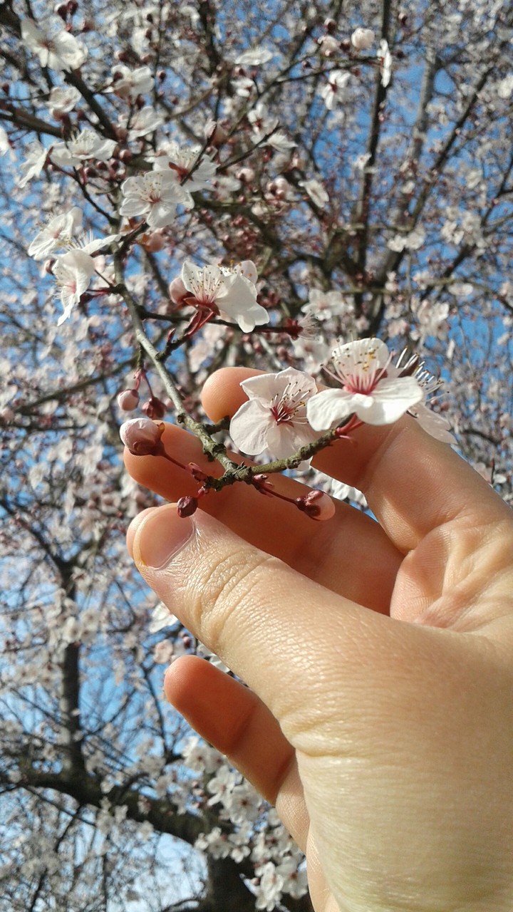 Hi, spring