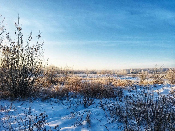❄️