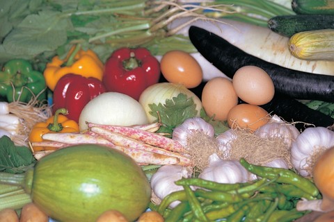 Food