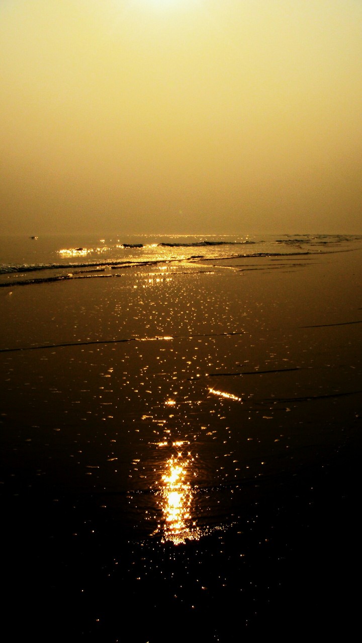 golden sunset on the beach