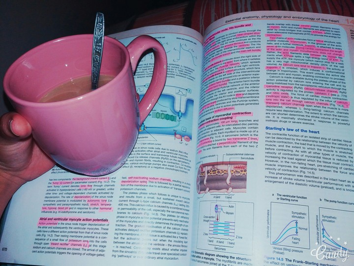 Motivation